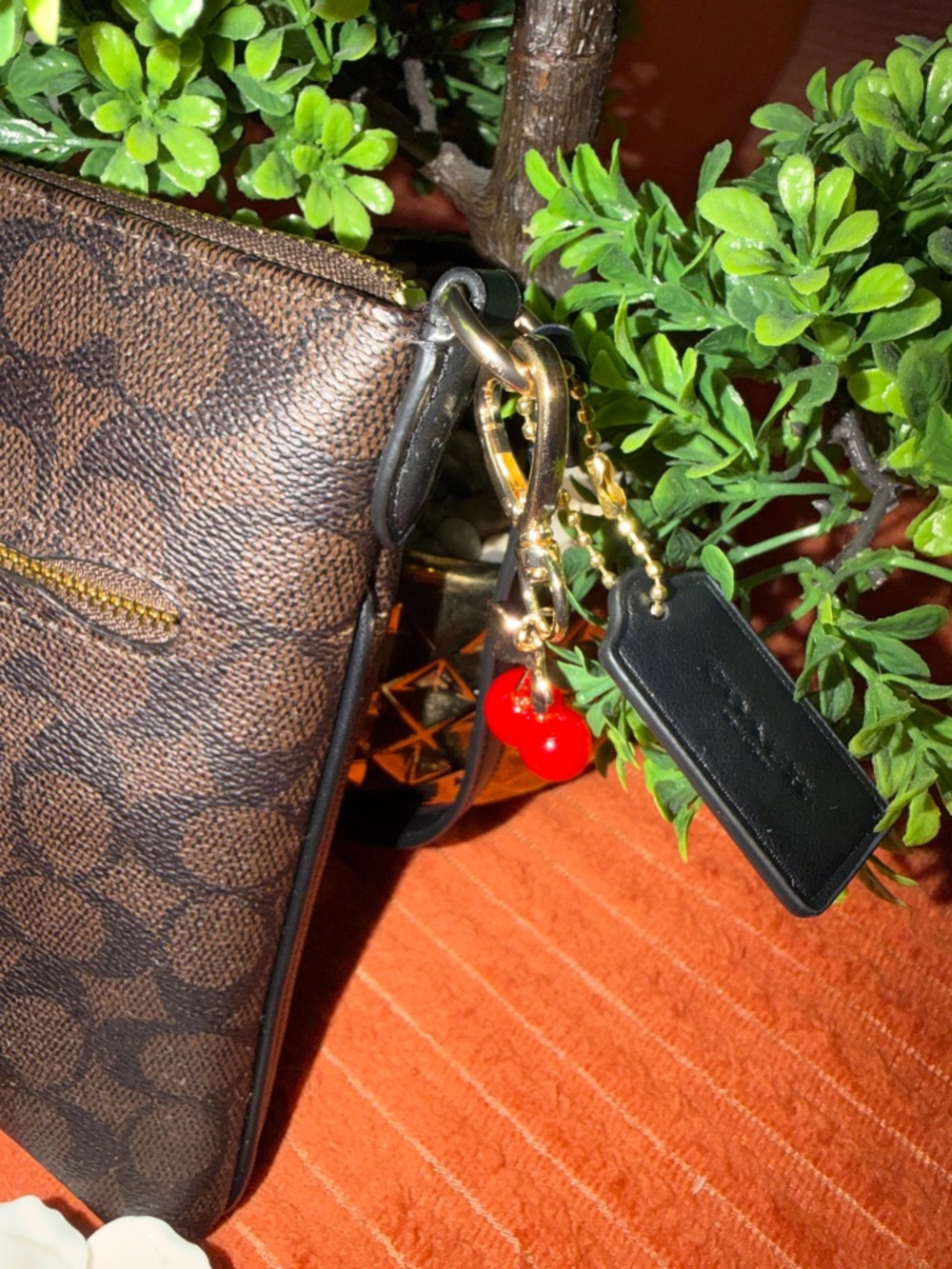 Coach Brown Signature Crossbody with Cherry Charm - Picture 6 of 16